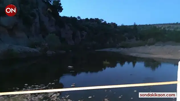 Koyunlarını yıkamak için girdiği gölette boğuldu