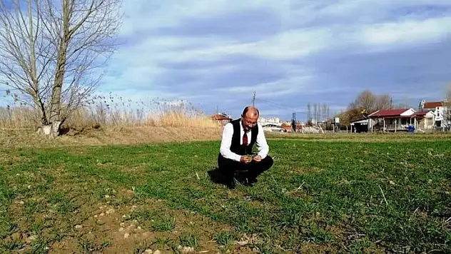 Kütahya'da hububat ekili alanlarda gelişim gözlenmesi yapıldı
