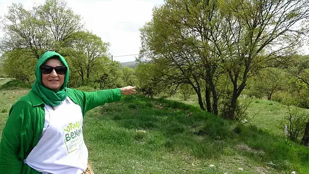 Kütahya'nın Haccazizler Mahallesi doğaseverleri bekliyor