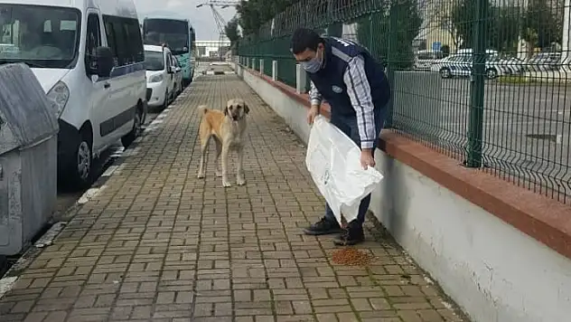Manisa'da sokak hayvanlarına mama desteği