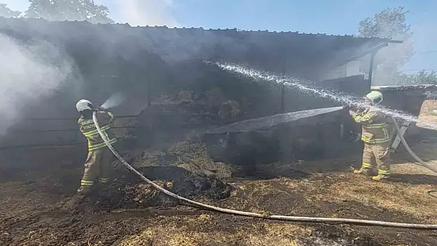 Manyas'ta ahırda çıkan yangında 3 büyükbaş hayvanda yanıklar oluştu