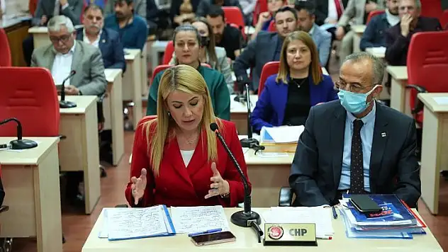 Merkezefendi Belediyesi 2021 yılı faaliyet raporu kabul edildi