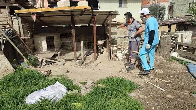 Metruk binada pitbull besleyen kişiye 14 bin 982 TL idari para cezası