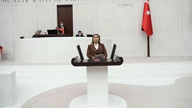 Milletvekili Aydemir: 'Kadın sporcularımız Tokyo Olimpiyatlarında tarih yazdılar'
