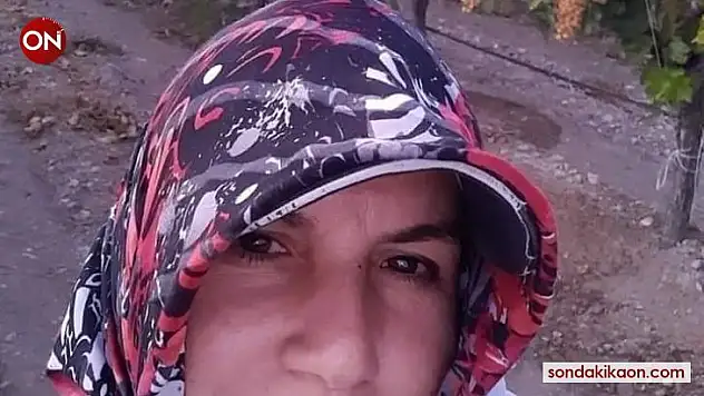 Minibüsün çarptığı tarım işçisi öldü