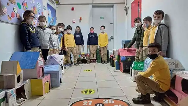 Minikler kedileri 'ev'lendirdi