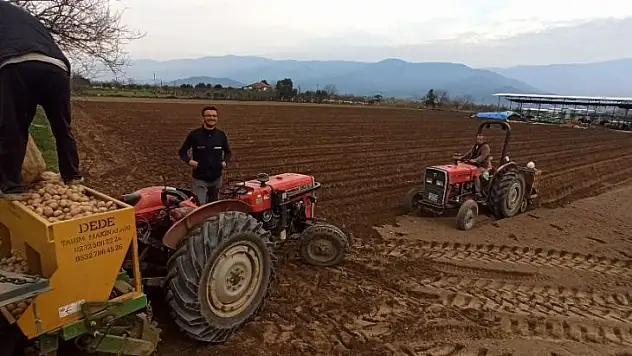 Ödemişli patates üreticisi fiyatlardan dertli