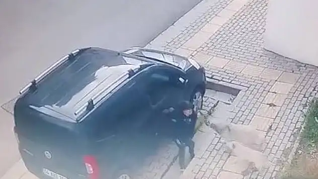 Orhangazi'de başıboş köpekler küçük çocuğa büyük korku yaşattı