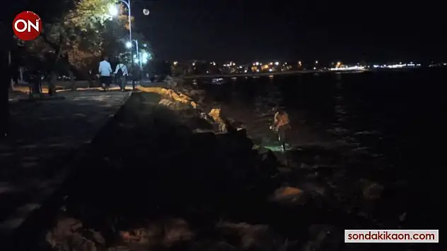 (Özel) Gece yarısı denizde yürüyerek yengeç avına çıktı