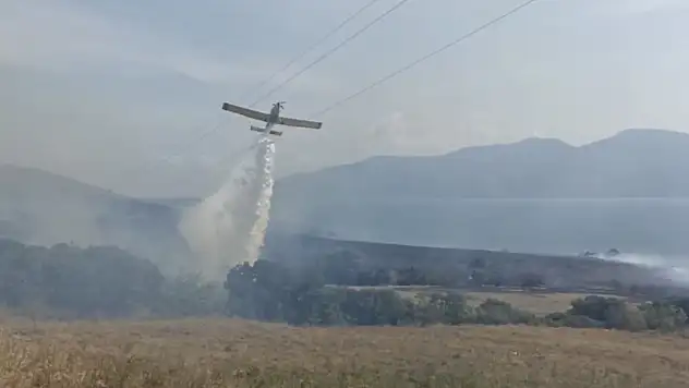 Paşalimanı Adası'nda yangın...Karadan ve havadan müdahale sürüyor