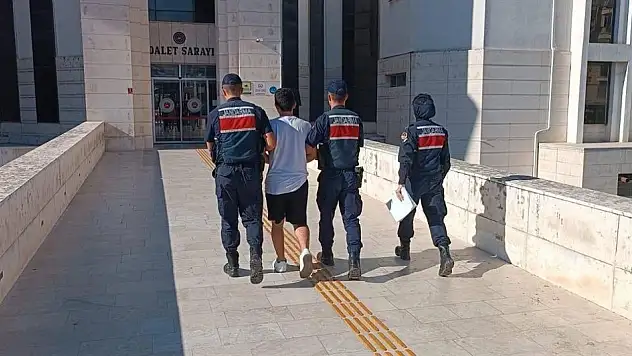 PKK/KCK propagandası yapan 1 kişi yakalandı