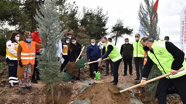 Sağlık kahramanları ormanı