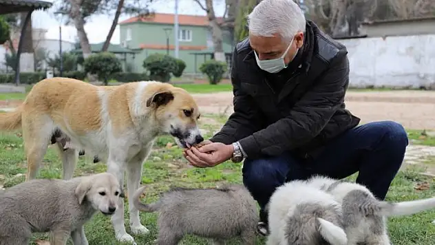 Saruhanlı'da sokak hayvanları için yeni beslenme üniteleri