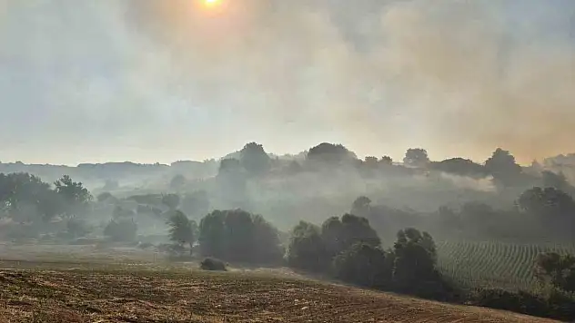 Susurluk Babaköy'de arazi yangını kontrol altına alındı