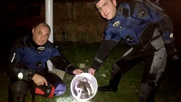 Tarihi hamama düşen 2 yavru köpeği AFAD ekipleri kurtardı