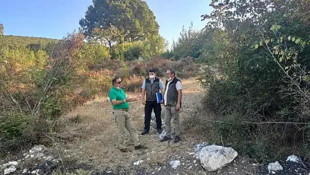 Üreticiye defne desteği