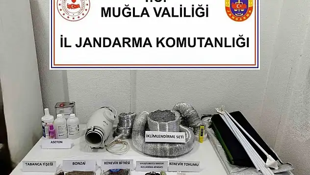 Uyuşturucu operasyonunda 1 gözaltı