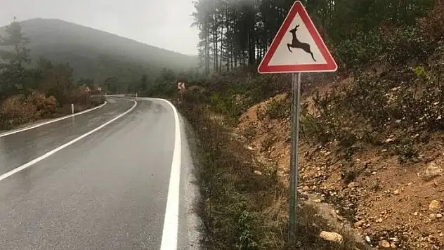 Yaban hayatı geliştirme sahasına 'Karaca çıkabilir' levhası