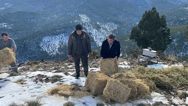 Yaban hayatına yem desteği