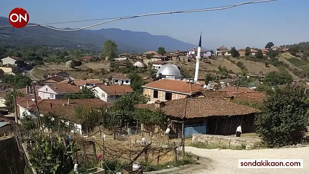 Yenice'de 2 köy karantina altına alındı