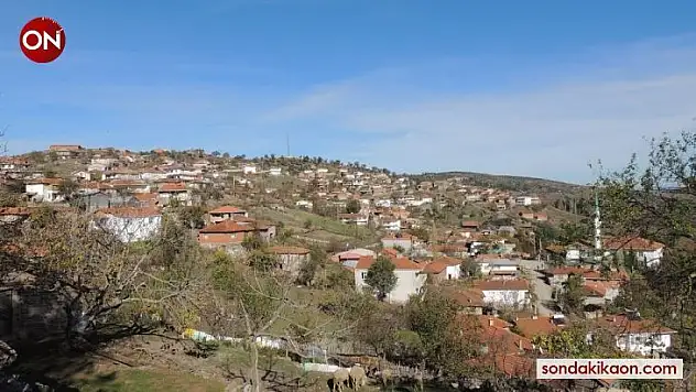 Yenice'de bir köy karantinaya alındı