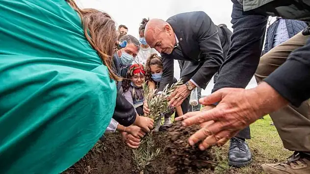 Zeytin Barış Festivali 'Bir Zeytin Dalı Yeter' sloganıyla başladı