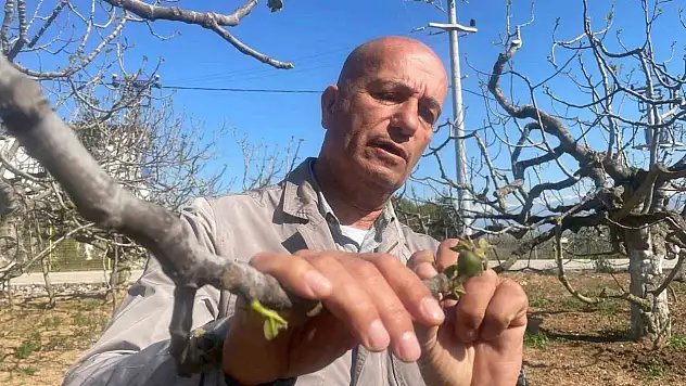 Zirai don Bursa siyahını çok etkilemedi