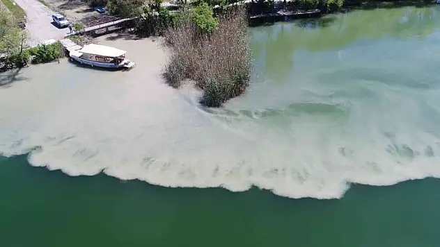 Zirai kanal temizliğinde atıklar Dalyan kanallarına aktı