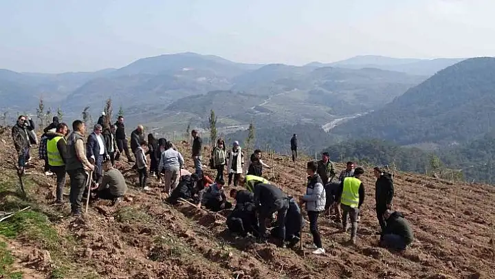 'Geleceğe nefes' olacak fidanlar dikilmeye devam ediyor