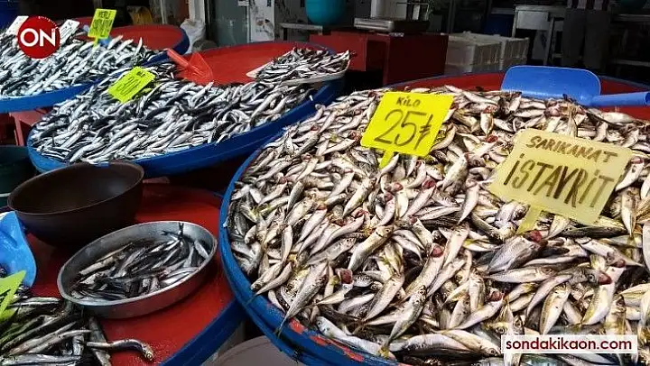 4 kiloluk levreğin kilosu 150 liradan satıldı