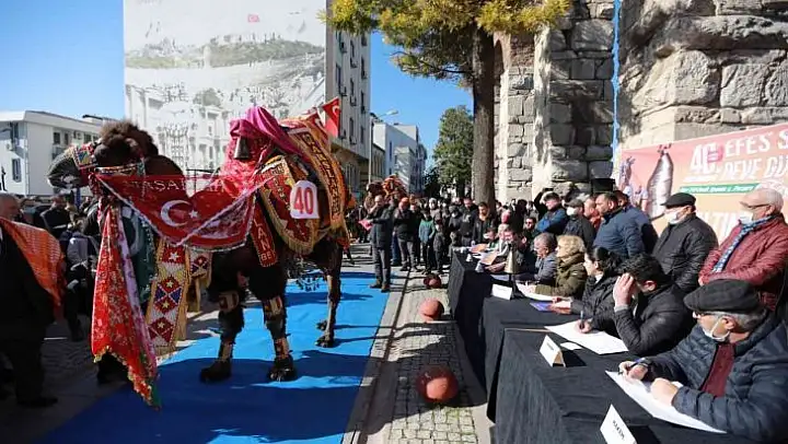 40. Uluslararası Efes Selçuk Deve Güreşleri Festivali başladı