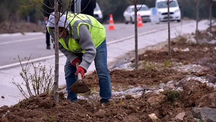 Aliağa'daki Bozköy'de 75 adet süs armudu toprakla buluştu