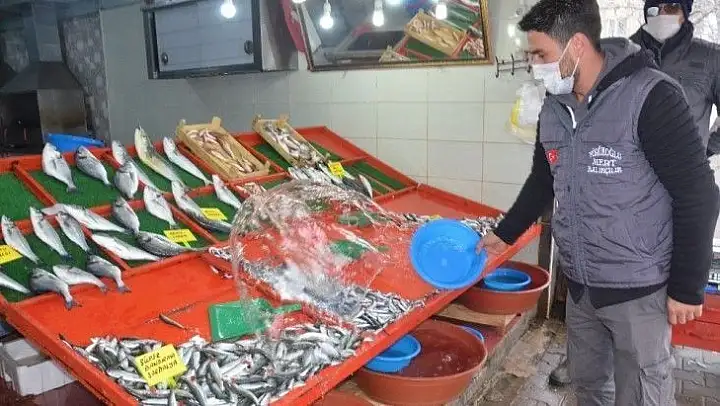 Aşırı avlanma hamsi fiyatlarını etkiliyor