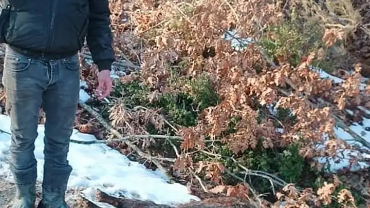 Av tüfeğiyle arkadaşını kazara vurarak öldüren şüpheli tutuklandı