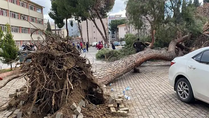 Aydın'da facia teğet geçti