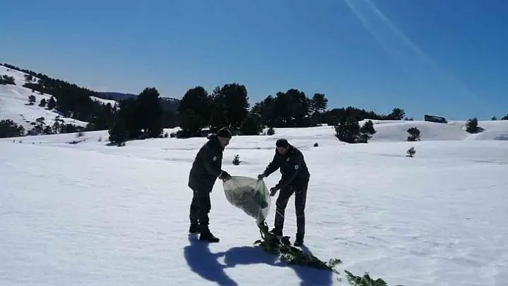 Aydın DKMP kaçak avcılara göz açtırmıyor