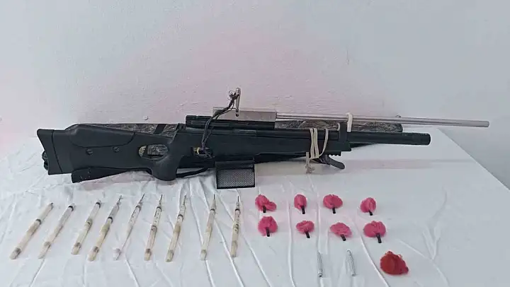Aydın jandarması izinsiz ava geçit vermedi