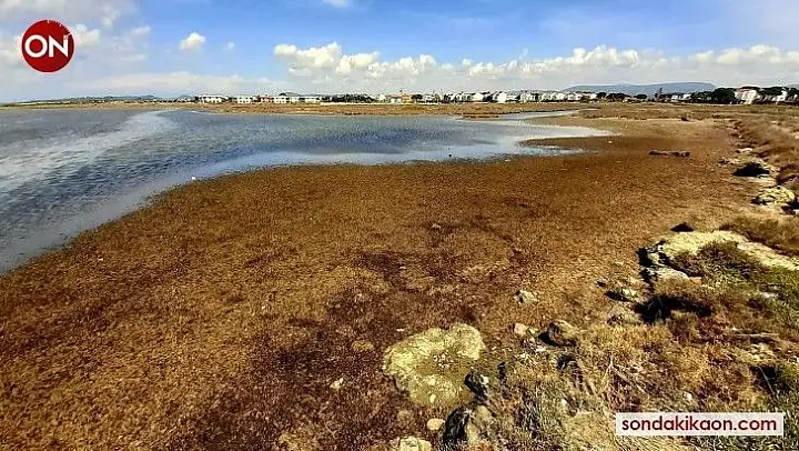 Ayvalık Belediye Başkanı Ergin'den 'Karakoç' tepkisi