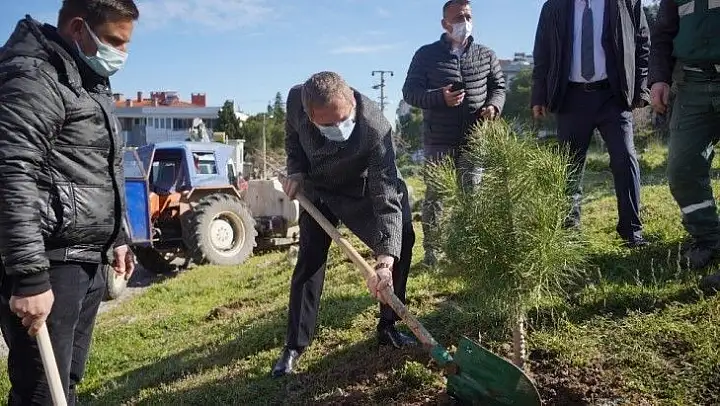 Ayvalık'ta 300 fidan toprakla buluşturuldu