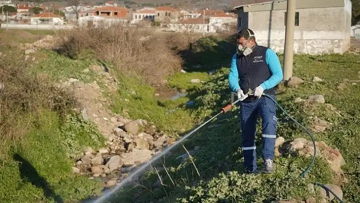 Ayvalık'ta sivrisinekle 365 gün mücadele