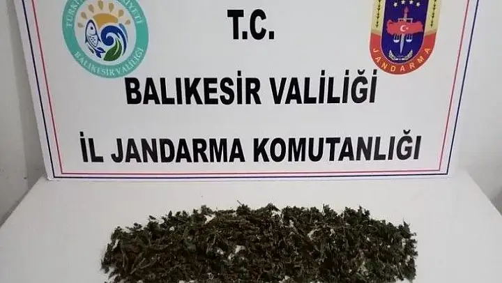 Ayvalık'ta uyuşturucu tacirleri jandarmadan kaçamadı