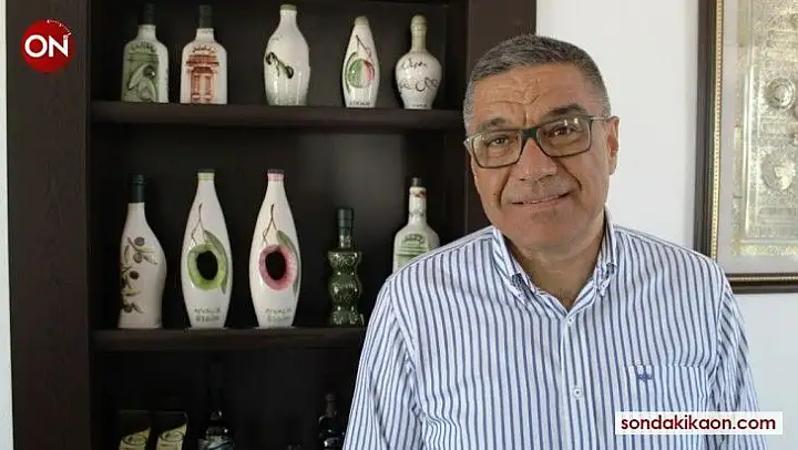 Ayvalık'ta zeytin yetim kaldı