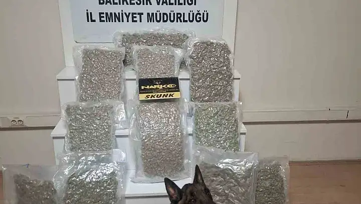 Balıkesir'de 12 kilo esrar ele geçirildi
