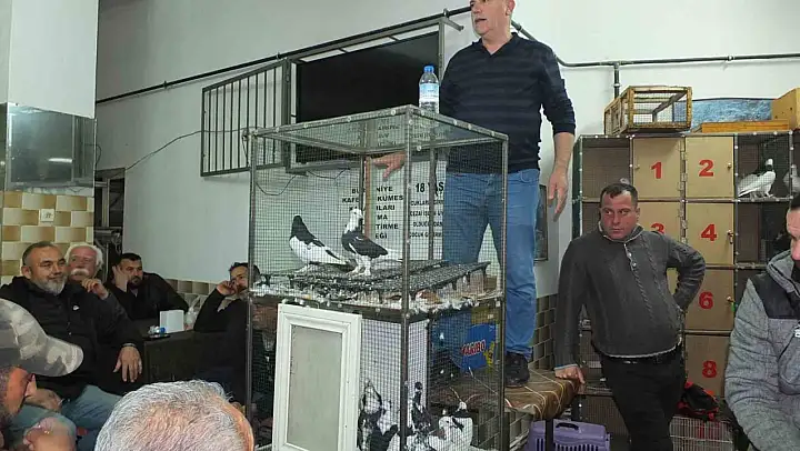 Balıkesir'de güvercin meraklıları buluştu