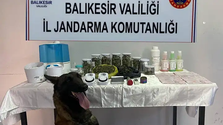 Balıkesir'de jandarmadan kaçakçılık ve uyuşturucuya darbe: 81 şüpheliye işlem yapıldı
