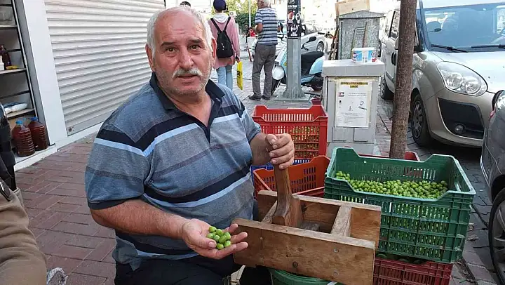 Balıkesir'de kırma zeytin yapımına başlandı
