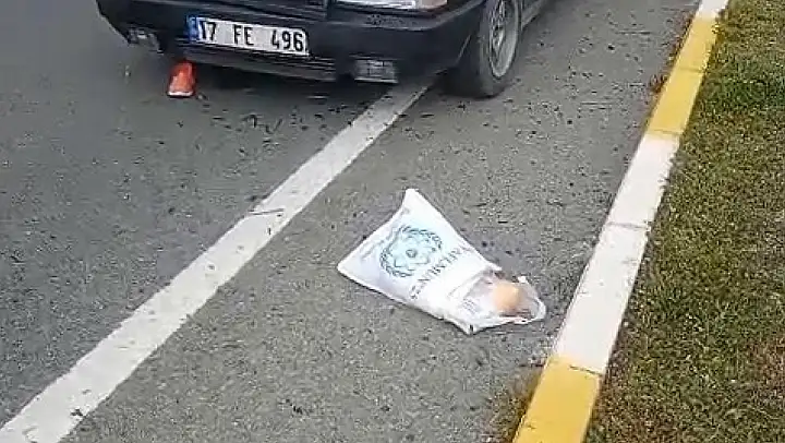 Balıkesir'de otomobilin çarptığı 92 yaşındaki kadın ağır yaralandı