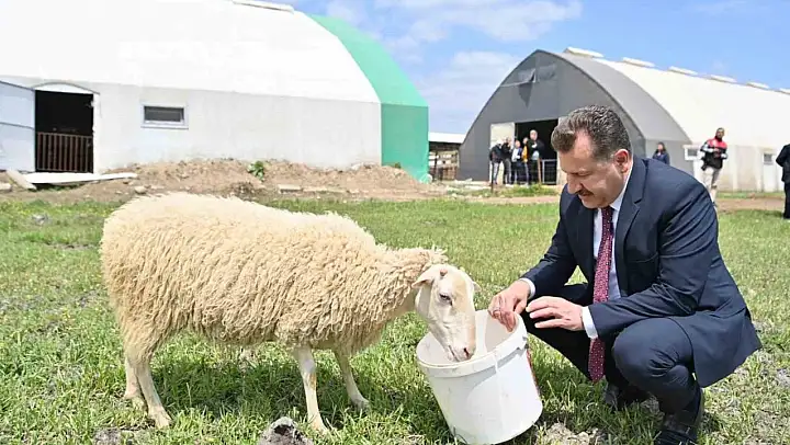 Balıkesir hayvancılığın en iyisi olma yolunda