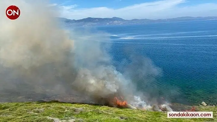 Bandırma'da arazi yangını