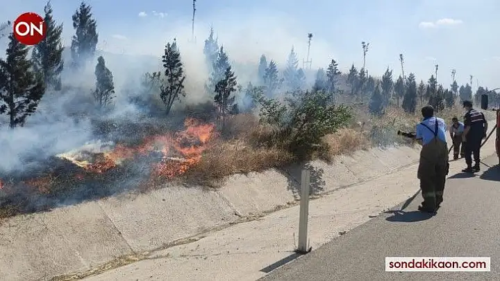 Bandırma'da yol kenarında yangın